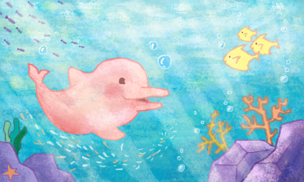 분홍돌고래