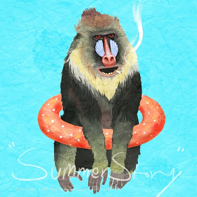 개코원숭이의 여름 